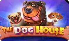 The dog house